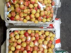 -西郊国际农产品交易中心