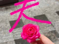 -广东省人民体育场