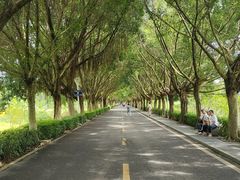 -风云岭森林公园