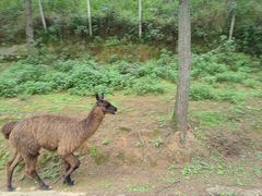 -云南野生动物园
