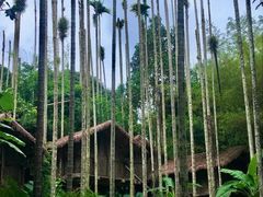 -海南槟榔谷黎苗文化旅游区