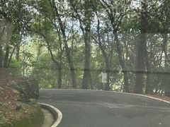 -白云山风景名胜区