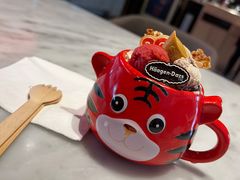 虎虎生威外带冰淇淋杯-哈根达斯(钟楼新店)