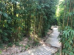 -武汉姚家山旅游景区