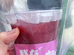 -南澳岛打卡果汁冰公司