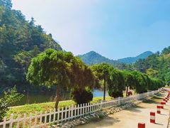 -金龙寺国家森林公园