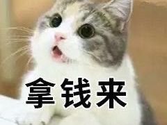 -大国药妆(えびすダイコク店)