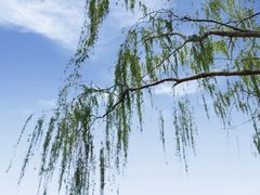 -天津武清北运河郊野公园房车露营地