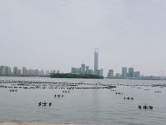 -金鸡湖景区