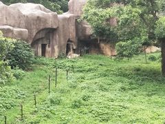 -合肥野生动物园