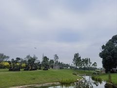 -空港花田景区