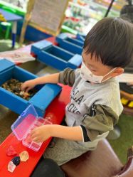 -寻石问宝研学亲子乐园(朝阳公园店)