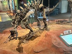 -自贡恐龙博物馆