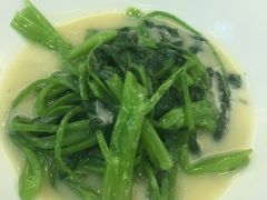 -富豪酒家(正大广场店)