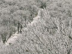 -湖州龙王山景区