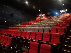 -万达影城(仓山万达广场激光IMAX店)