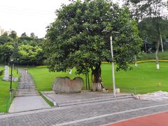 -龙头寺公园