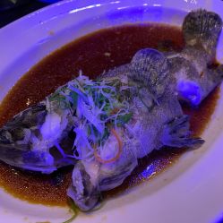 -沈阳君悦酒店宴会厅