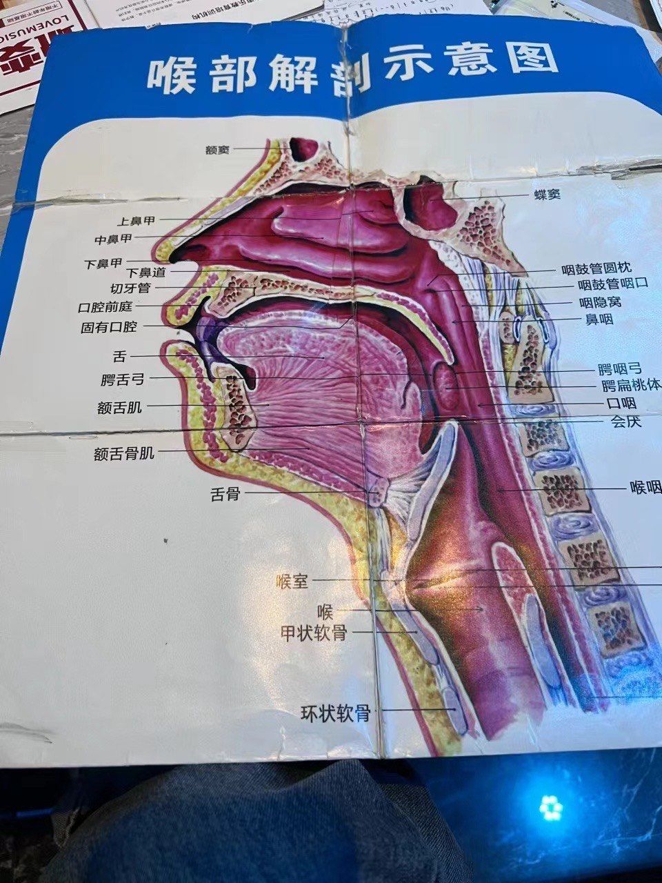 小白上了一节课后居然听懂了