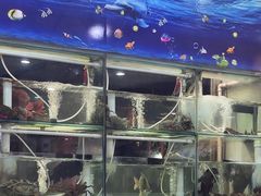 -青竹园海鲜餐厅(海天路店)