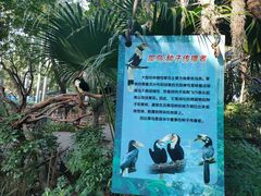 -广州长隆飞鸟乐园