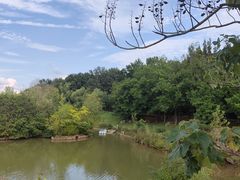 -江苏三台山国家森林公园