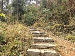 -青龙山国家森林公园