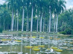 -中国科学院西双版纳热带植物园