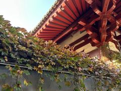 -华清宫景区