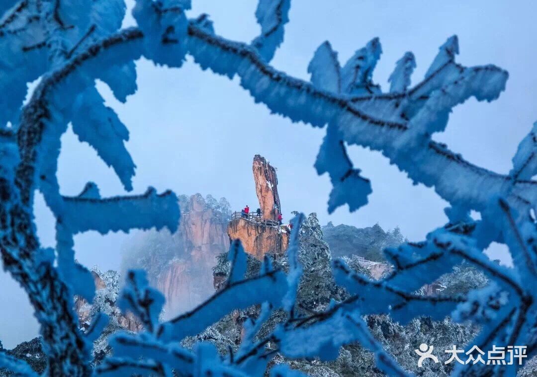 【博洋视线】 难忘黄山雪️ 云和雪都恋着这山峦
