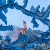 【博洋视线】 难忘黄山雪️ 云和雪都恋着这山峦