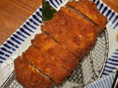 -堂本家·二代目·炸猪排(中心书城店)