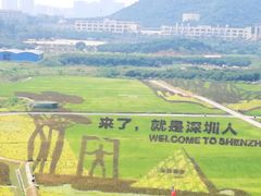 -光明小镇欢乐田园