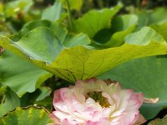 -南戴河国际娱乐中心