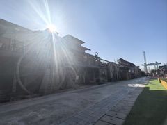 -呀路古热带植物园
