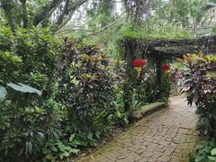 -海南热带野生动植物园