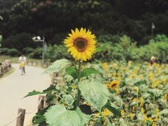 -贵阳市花溪国家城市湿地公园