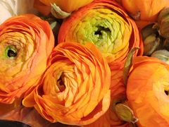 -凯德广场(西城店)