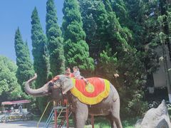 -云南民族村