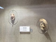 -巴音郭楞蒙古自治州博物馆