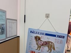 -瑞派康怡24h宠物医院·犬猫医疗中心·微创绝育(瑞景分院)