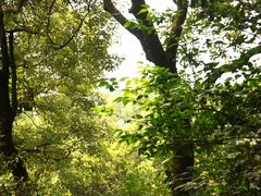 -宁波市保国寺古建筑博物馆