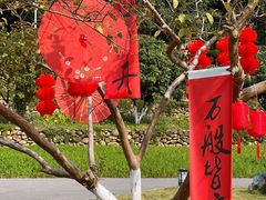 -广西壮族自治区药用植物园