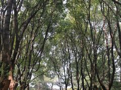 -新洲生态园