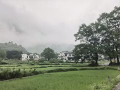 -塔川景区