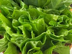 -渔惑·中山脆肉鲩火锅(仁恒梦店)