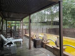 -春晖园度假酒店温泉