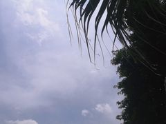 -南宁南湖公园