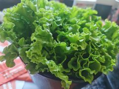 -四斤烤肉(东戴河孟家店)