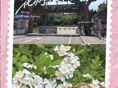 -森林公园(尖草坪区)